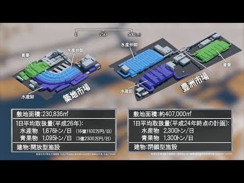 What the Tsukiji-Toyosu Relocation Fight Was Really About