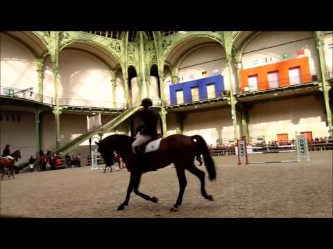Paddock area, Saut Hermès 2017, Pénélope Leprévost, Kevin Staut and others