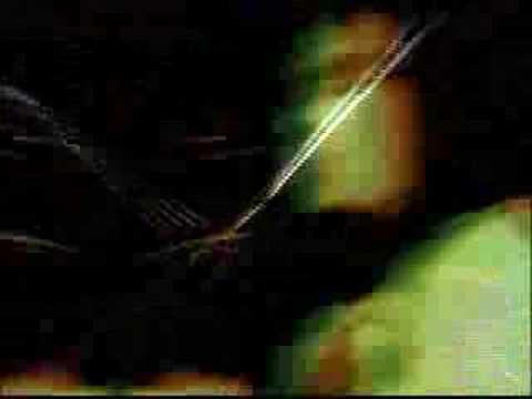 Kinski - Rhode Island Freakout