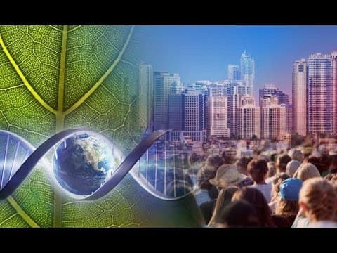 Principles of Complexity - Overview