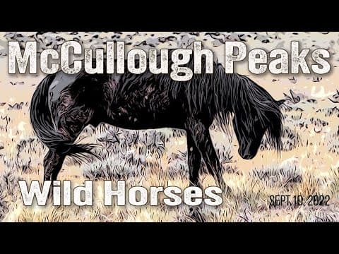 McCullough Peaks Wild Horse Range Sept. 10, 2022. Near Cody Wyoming.