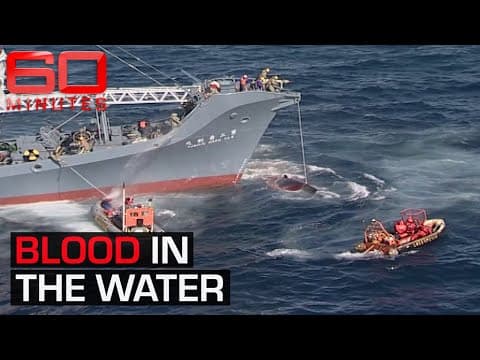 Radical protesters risk their lives to stop Japan's whaling industry | 60 Minutes Australia