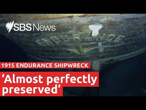 'Almost perfectly preserved' 1915 Endurance shipwreck found off the coast of Antarctica | SBS News