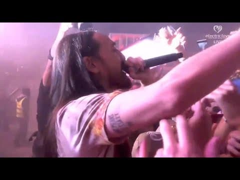Steve Aoki - Electric Love Festival 2018