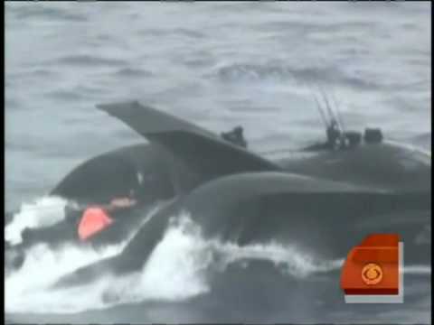 Whaling Vessel Hits Protestors