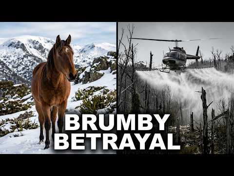Brumby Betrayal - Australia's wild horses scapegoats for environmental devastation.