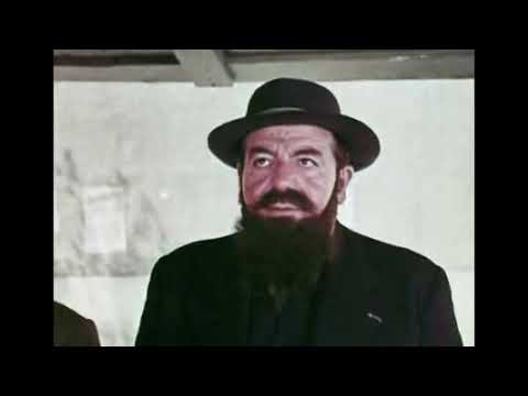 The Golden Fish / Histoire d'un poisson rouge (1959 French Short Film) Public Domain Movies