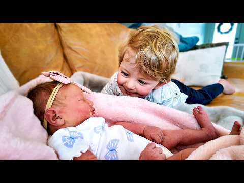 Newborn Meets Big Sibling