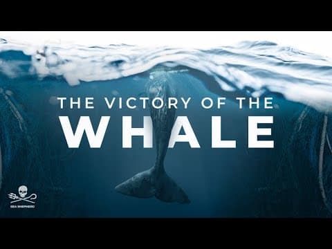 The Victory of the Whale - Official Video