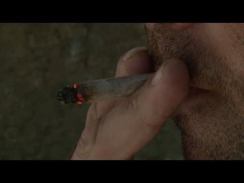 Tiny Uruguay Plans Groundbreaking Cannabis Legalisation