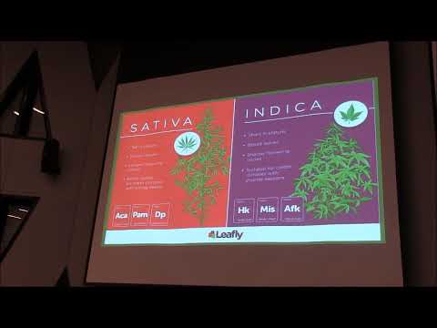 Teaching ethnobotany through cannabis