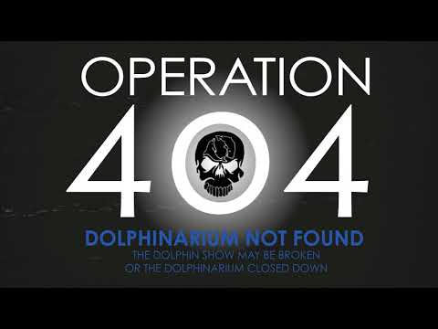 Dolphinarium Not Found