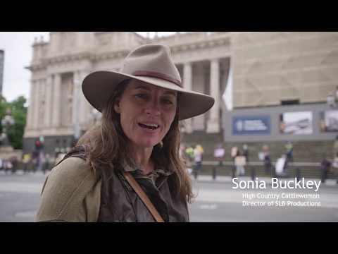 Protest at Parliament House Victoria to "Save the Brumbies"