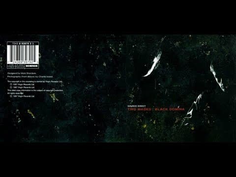 Source Direct - Black Domina