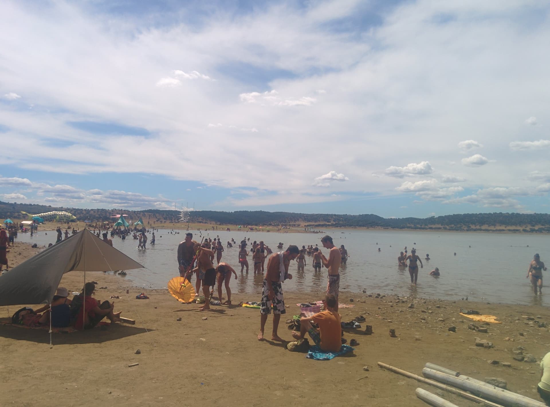 Sunbathing and swimming along the shore, Boom 2014
