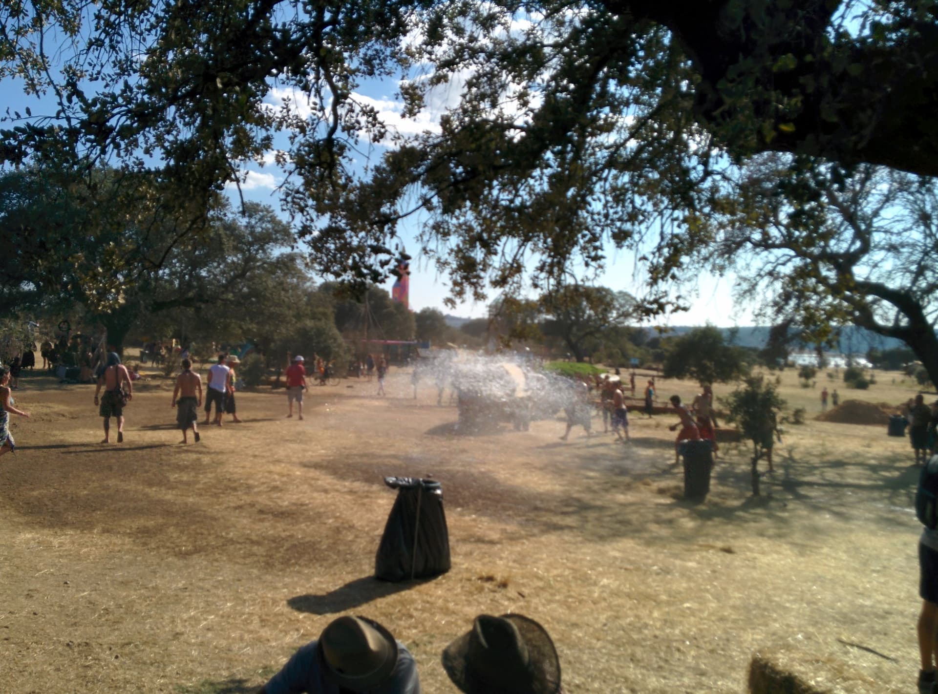 Dust rising from the track through the trees, Boom 2014