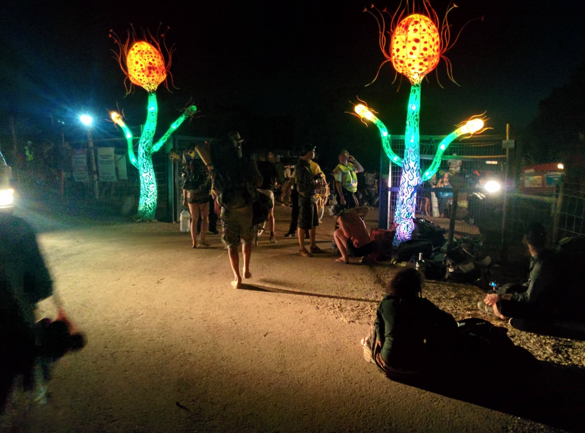 Lit flower sculptures along the night path, Boom 2014