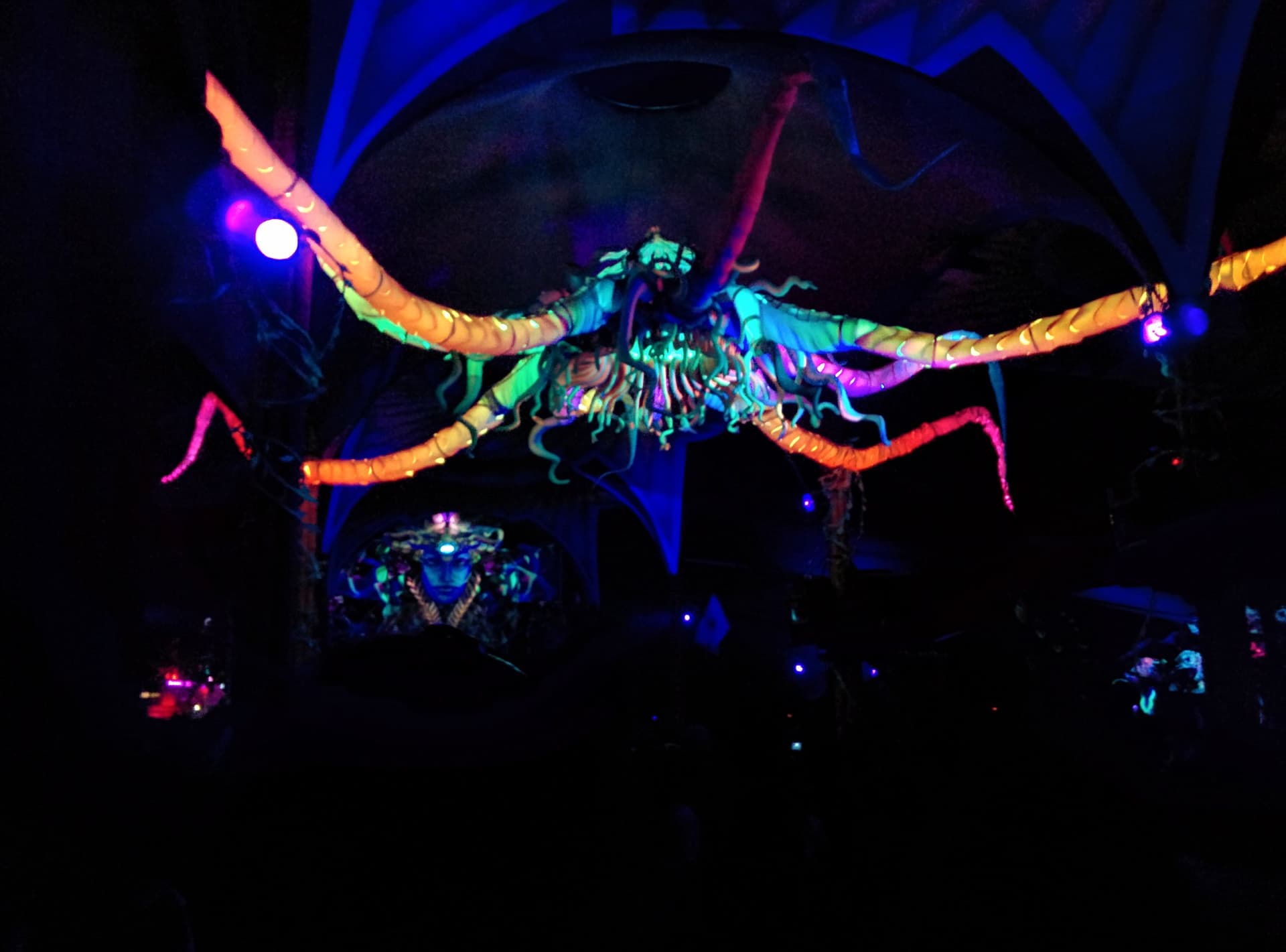 Illuminated insect sculpture over the dancefloor, Boom 2014