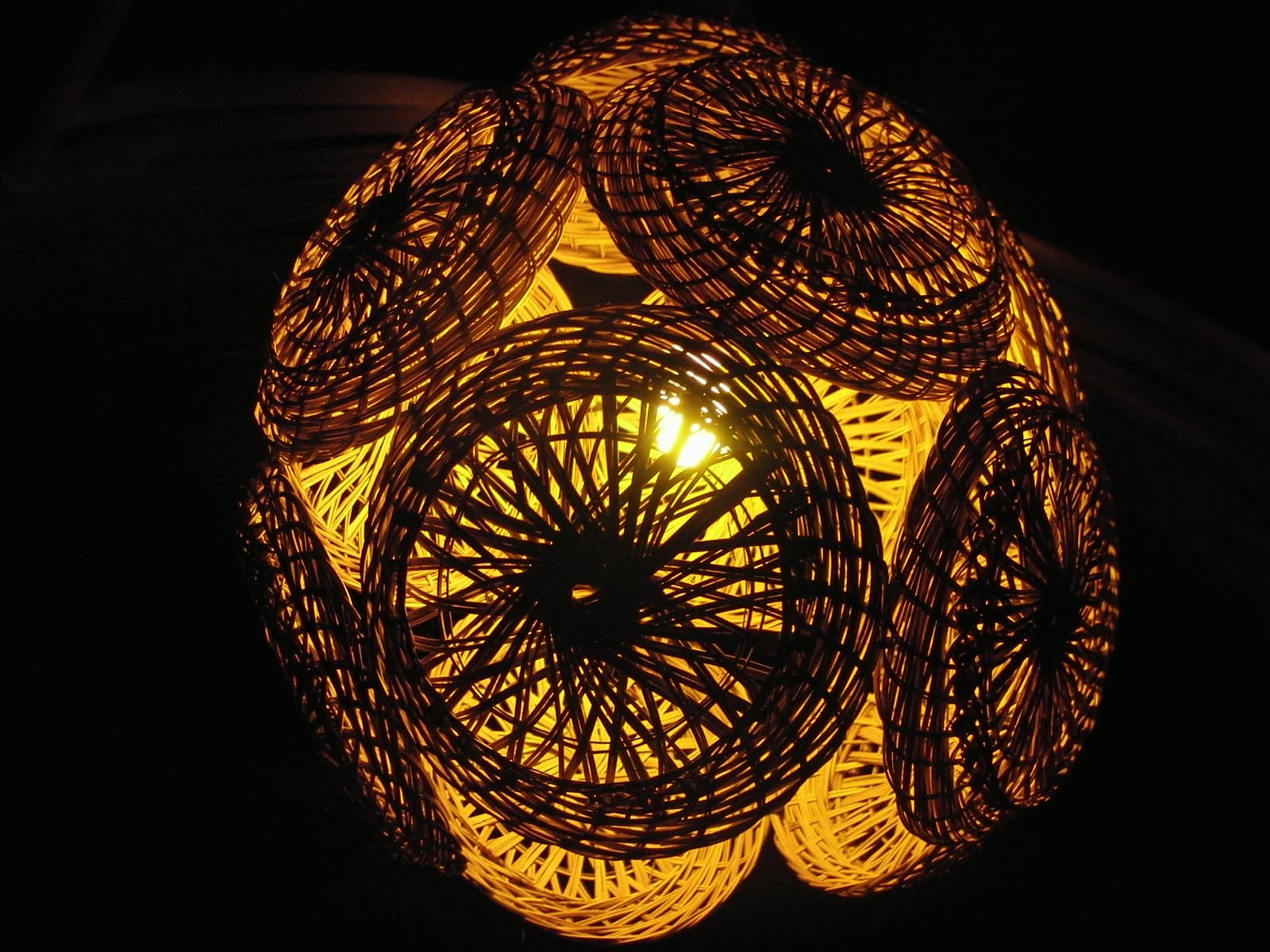 Lamp, Boom 2010