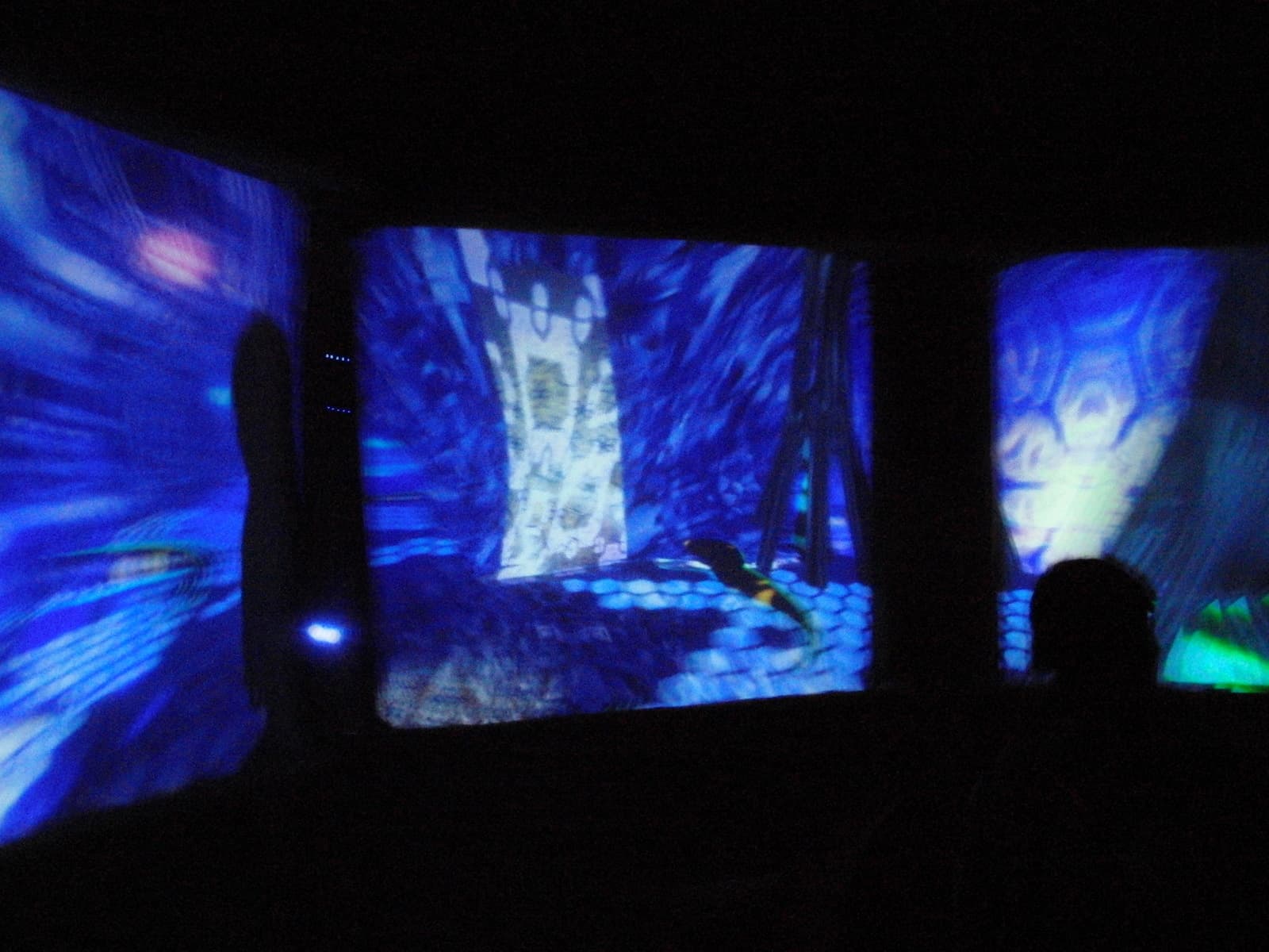 Blue forest imagery across three panels, Boom 2010