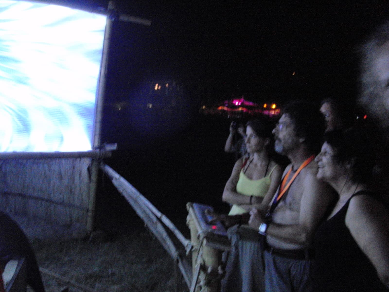 Watching the projection screen after dark, Boom 2010