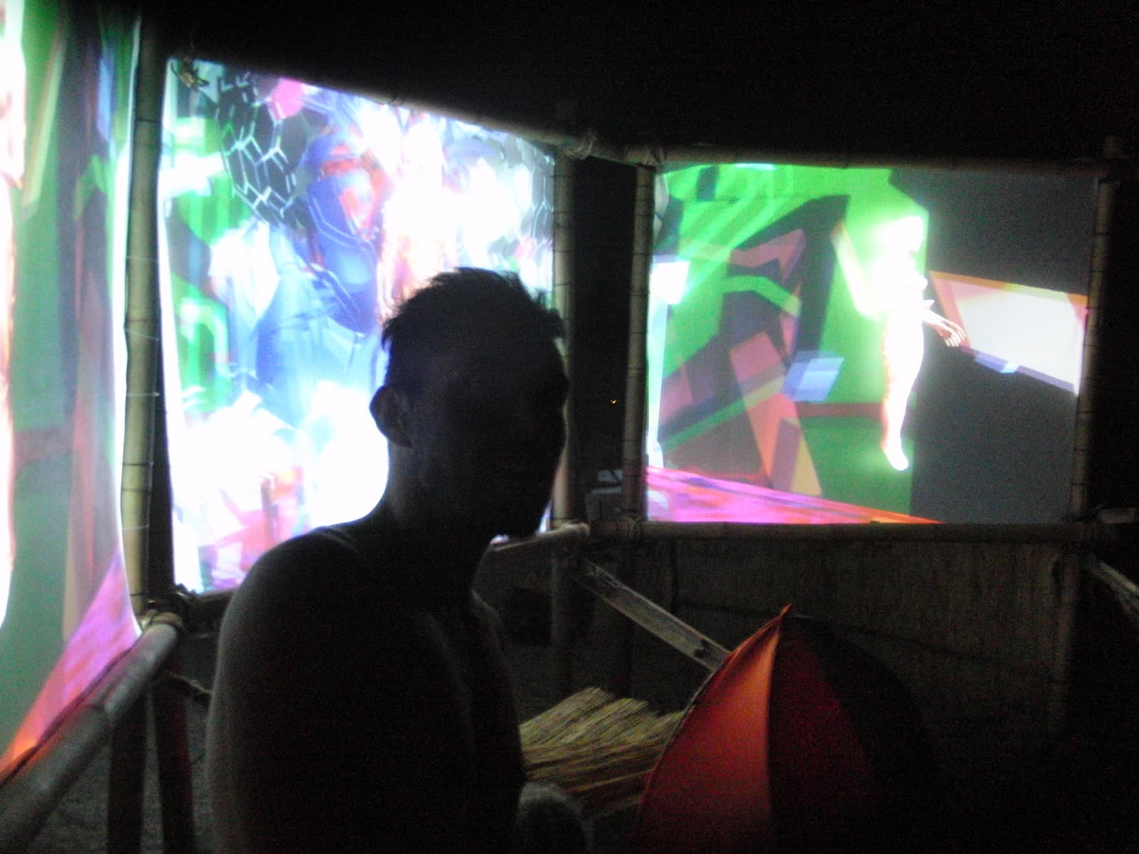 Viewer silhouetted before pink projections, Boom 2010