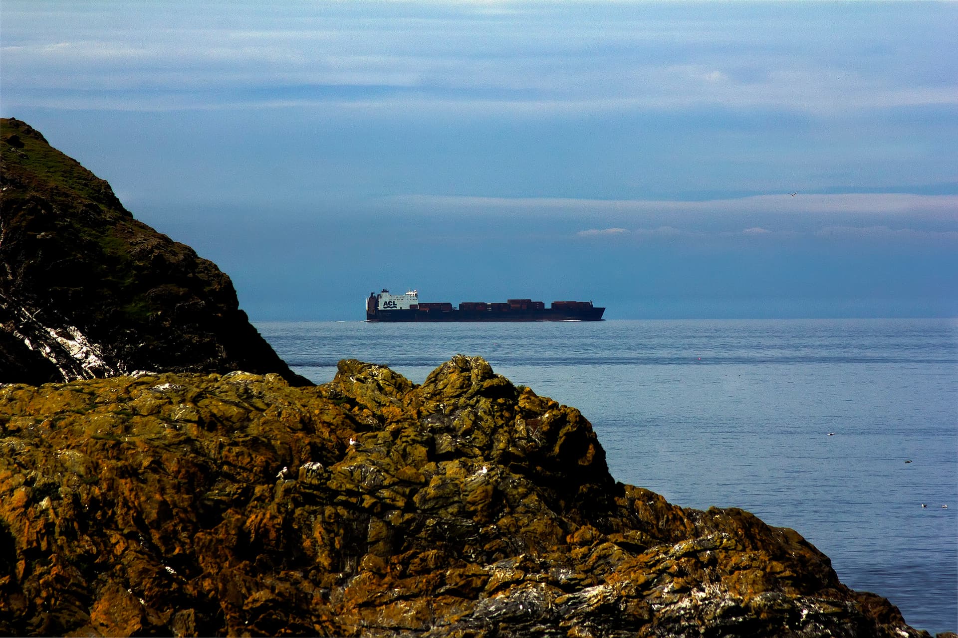 Calf of Man (72)