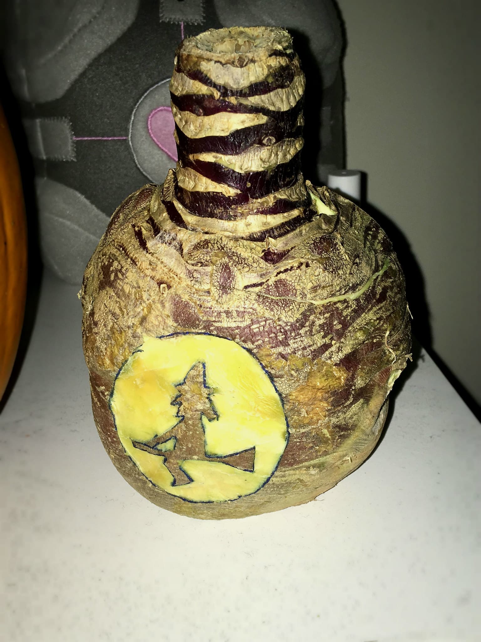 Hop-tu-naa turnip by Jason O'Connor (01)