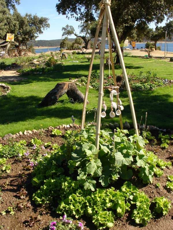 Permaculture vegetable bed above the reservoir, Boom 2006