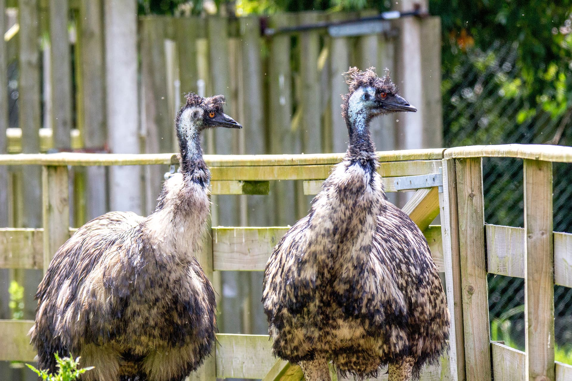 Wildlife Park (33)