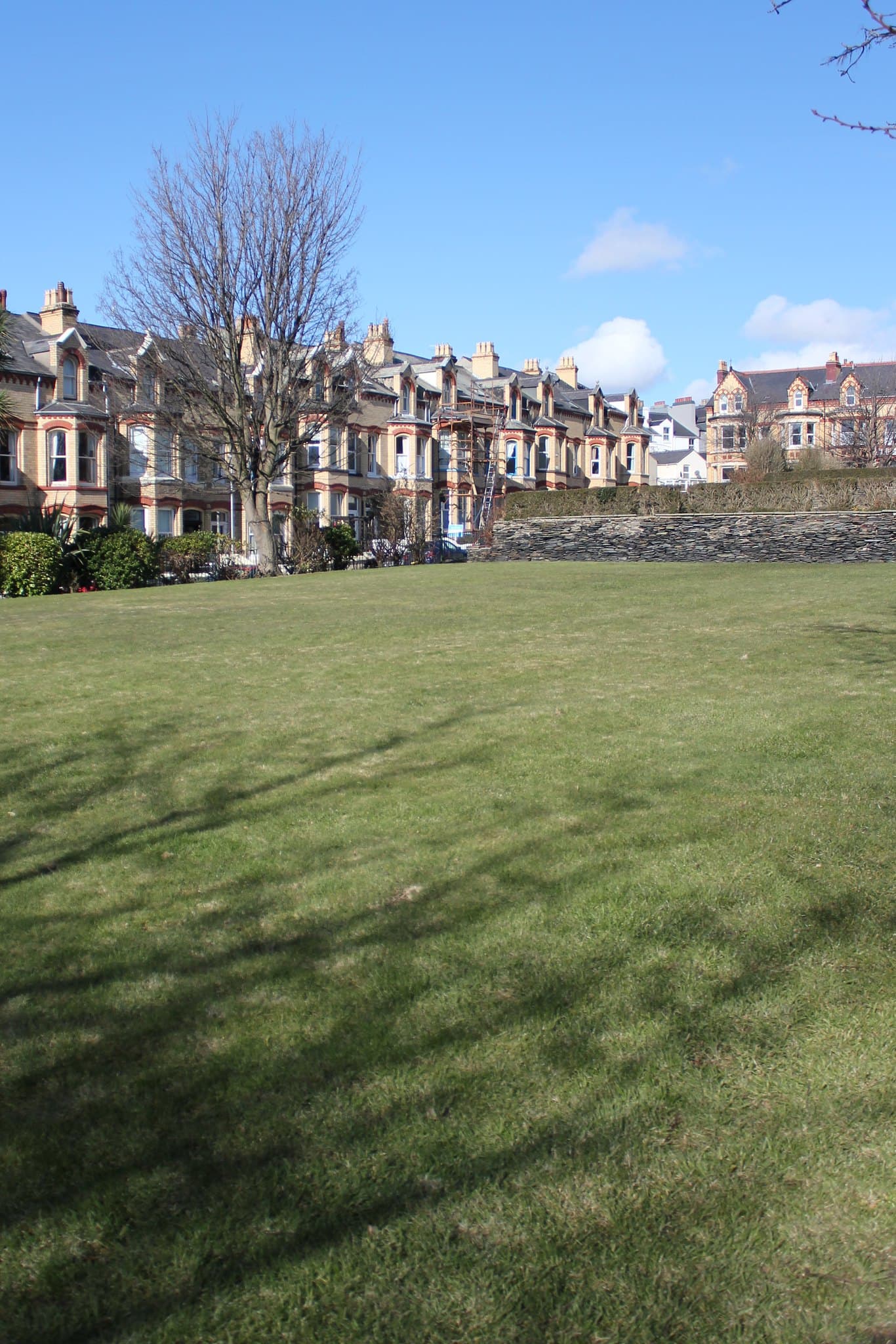 Hutchinson Square green, the site of "University" lectures