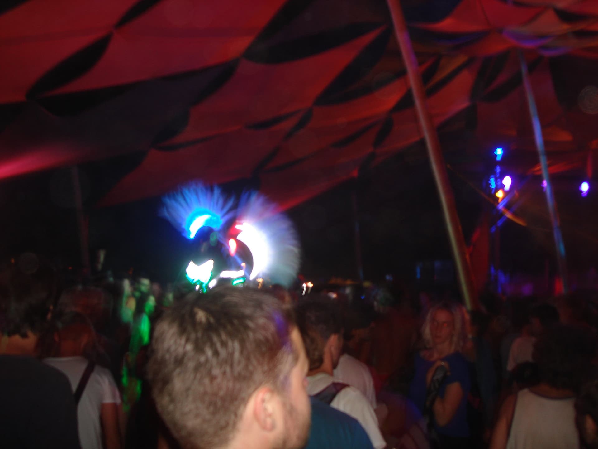 Stilt walking bird, Boom 2012