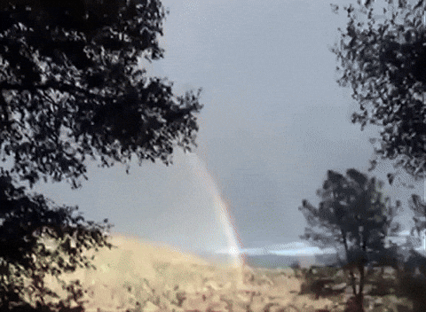Double Rainbow