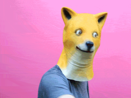 Giphy Founded