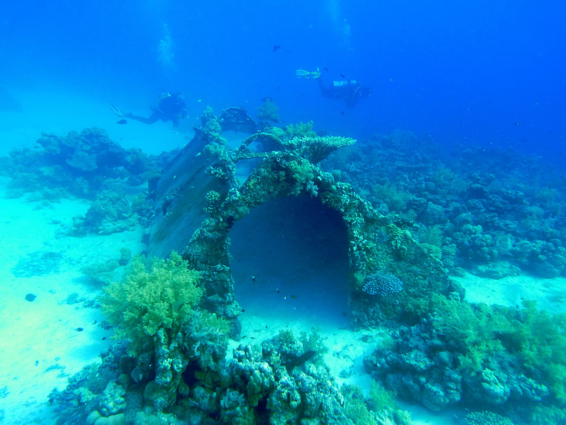 Remains of the Conshelf II tool shed