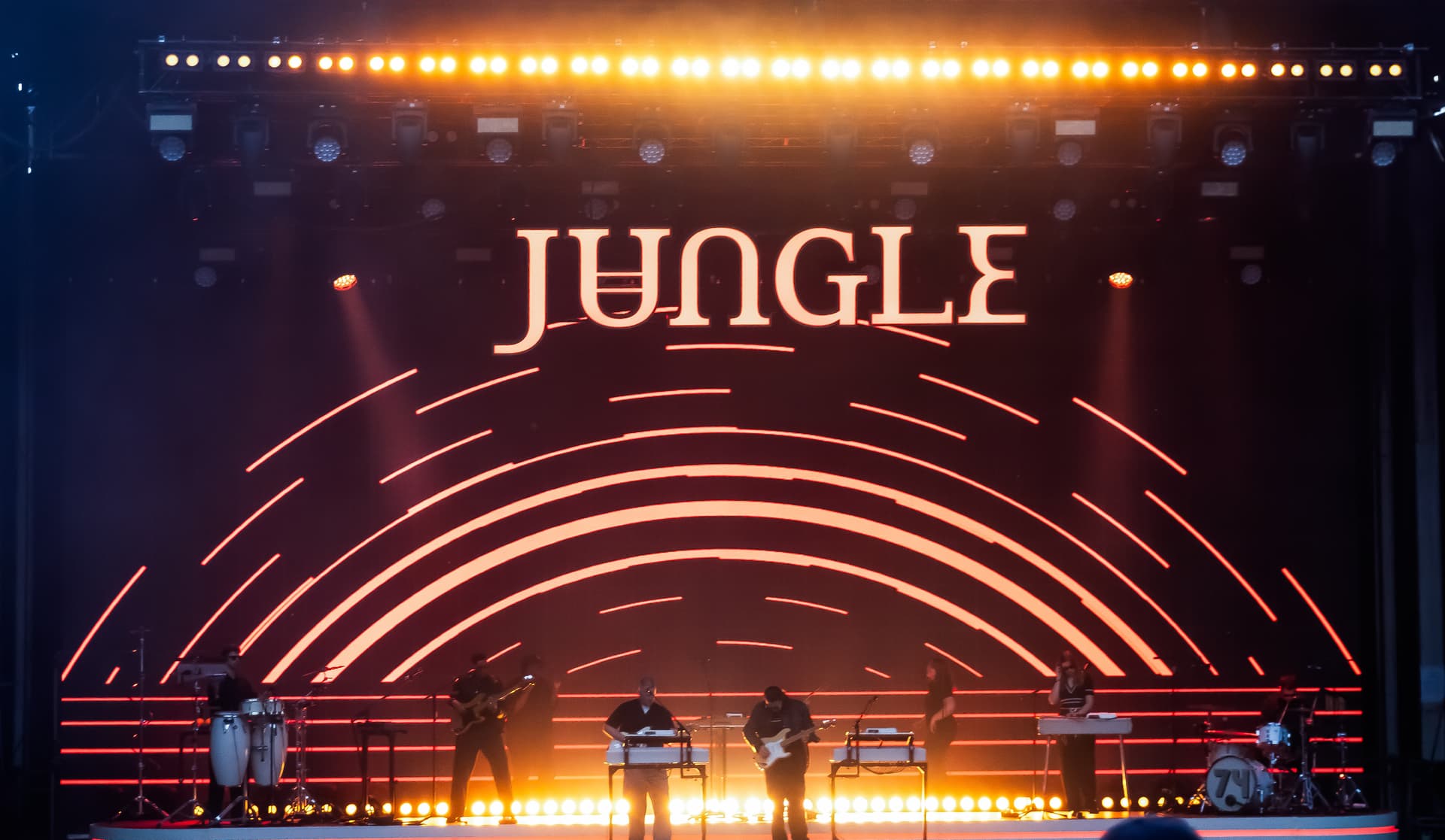 Jungle, 2024