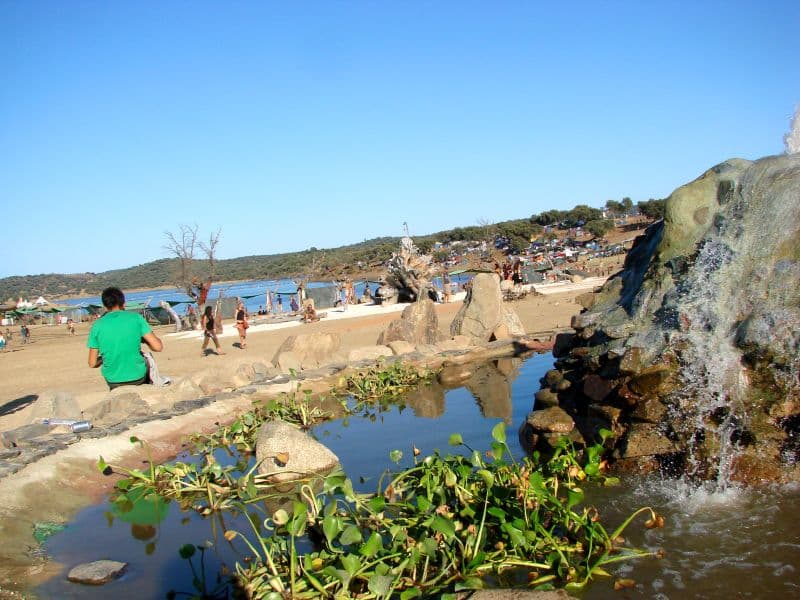 Water feature with wetland planting on the shore