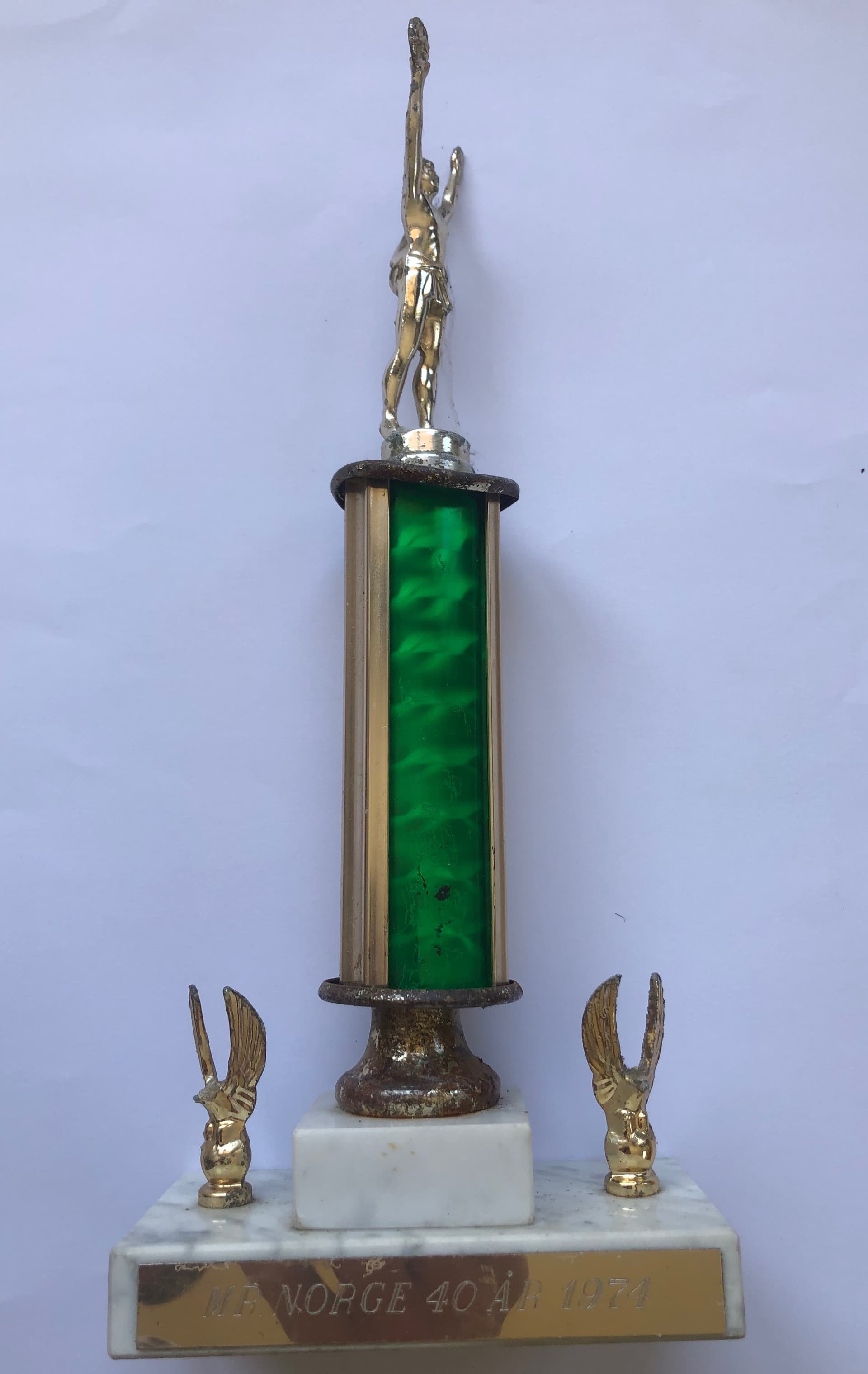 Trophy, Mr Norway