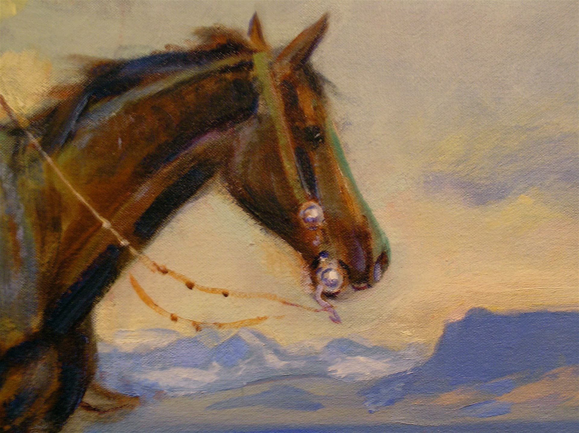 CMR Friends horse