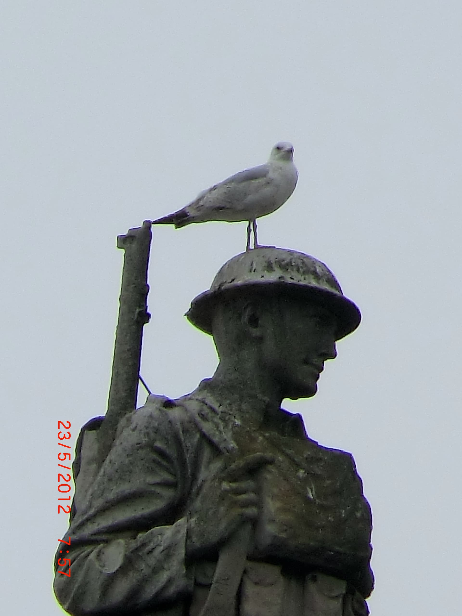 No Respect - panoramio