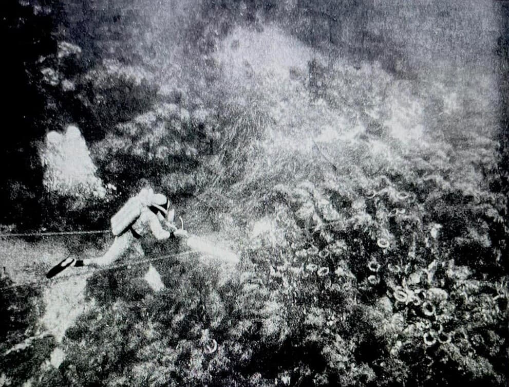 A scuba diver photographing an amphora field, 1953