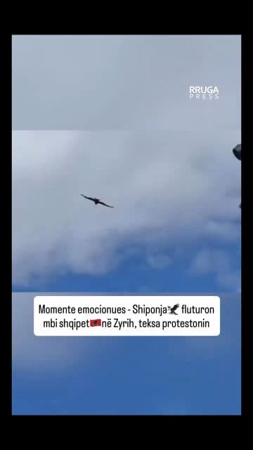 Eagle approves