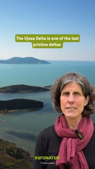 Serious damage is happening right now in the Vjosa-Narta Protected Area in Albania ❗