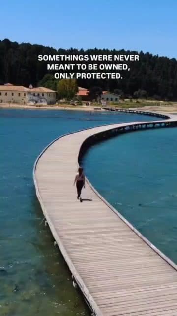 If the law will not protect nature, than we will.