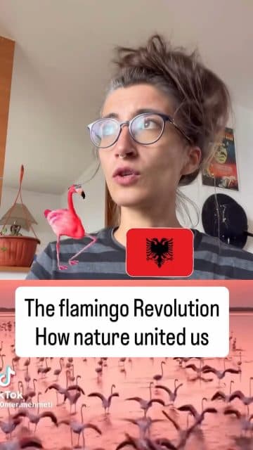 Albanian Diaspora reporting: Some of us can’t go to protests, I am here sifting through