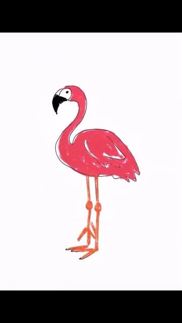 Flamingo Revolution