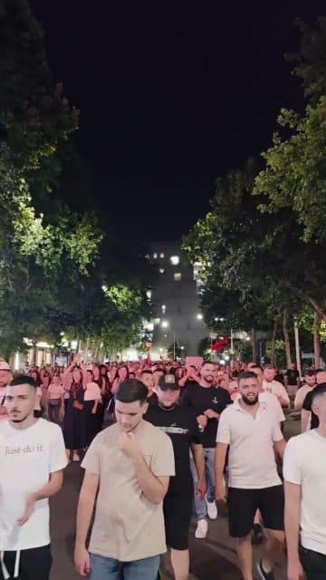 Flamingo Revolution