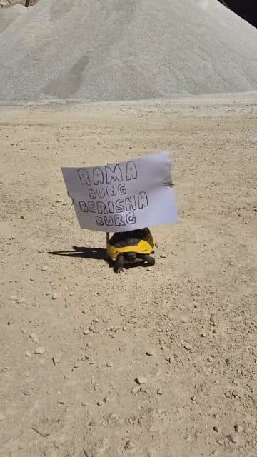 Tortoises for Albania