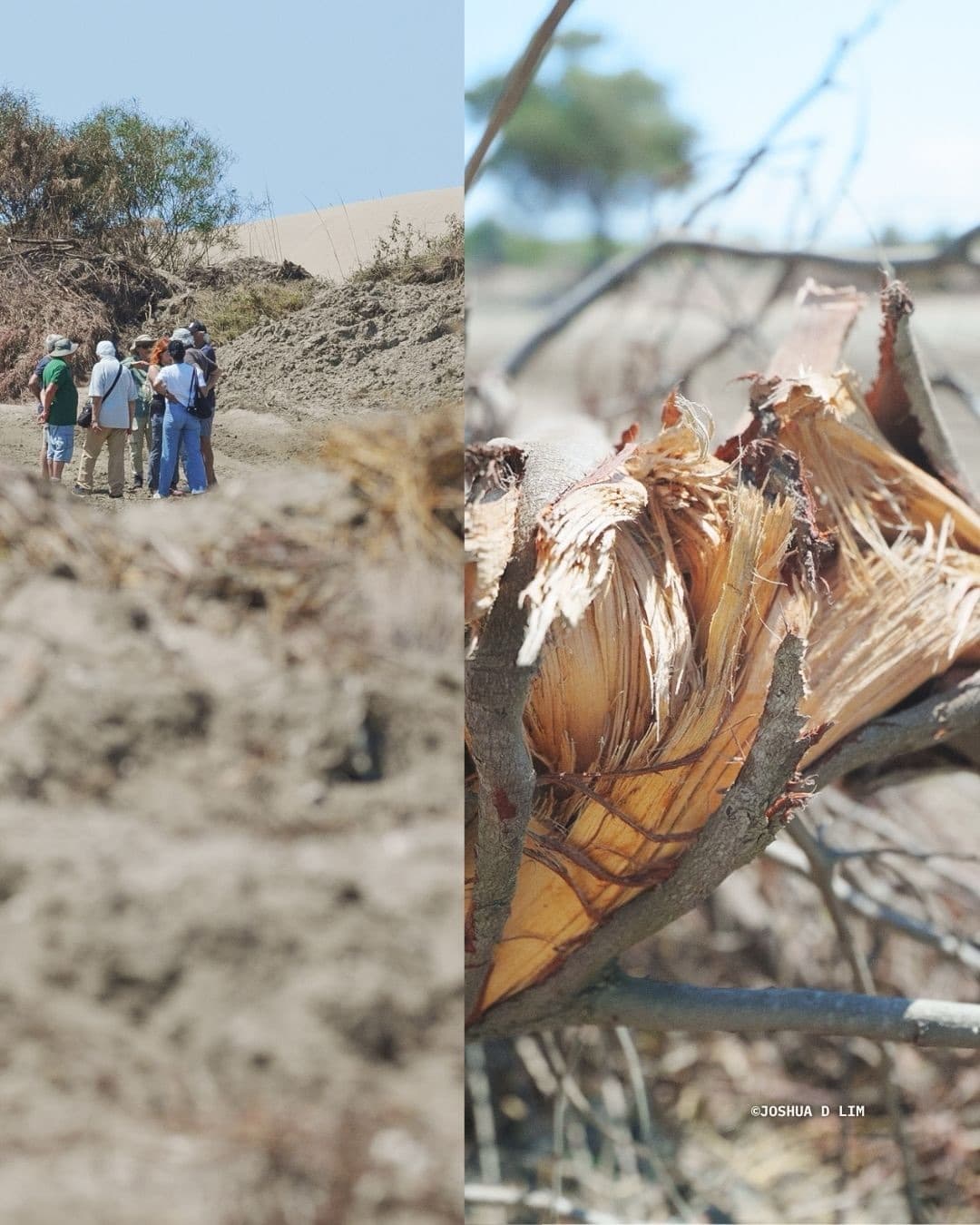 The scientists who built the case for the Vjosa came back to the delta today, and what they foun (3)