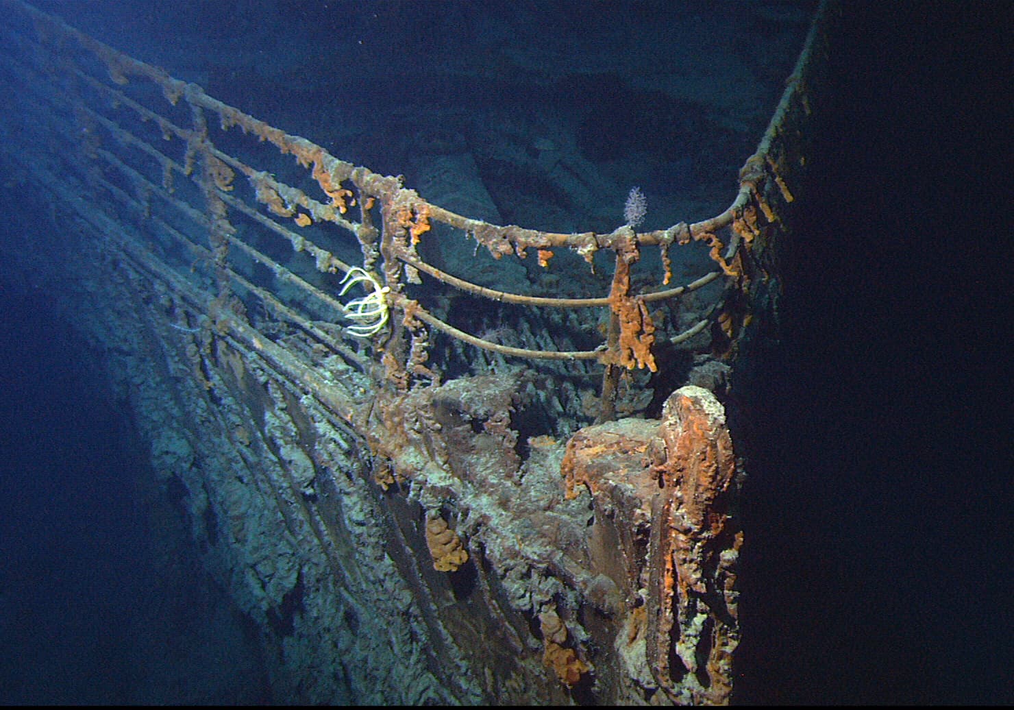 The Titanic's bow